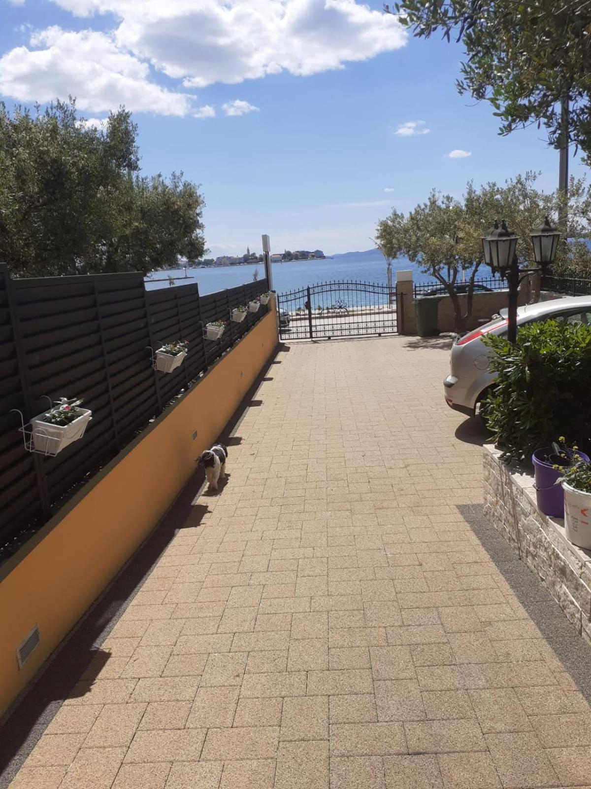 Apartament Lanterna Puntamika Apt. Near *