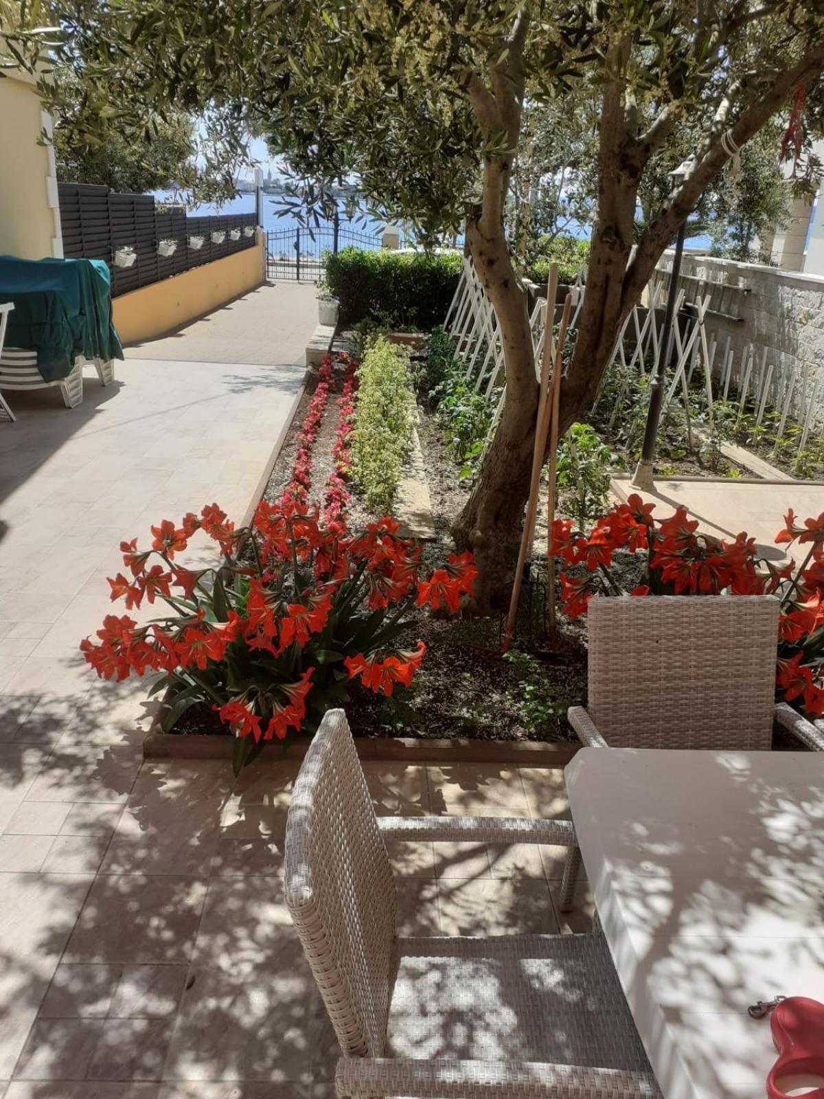 Apartment Lanterna Puntamika Apt. Near Zadar
